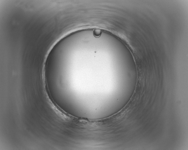 X0000073491516200608140829