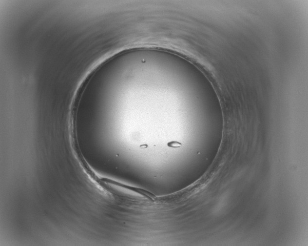 X0000073491517200608140829