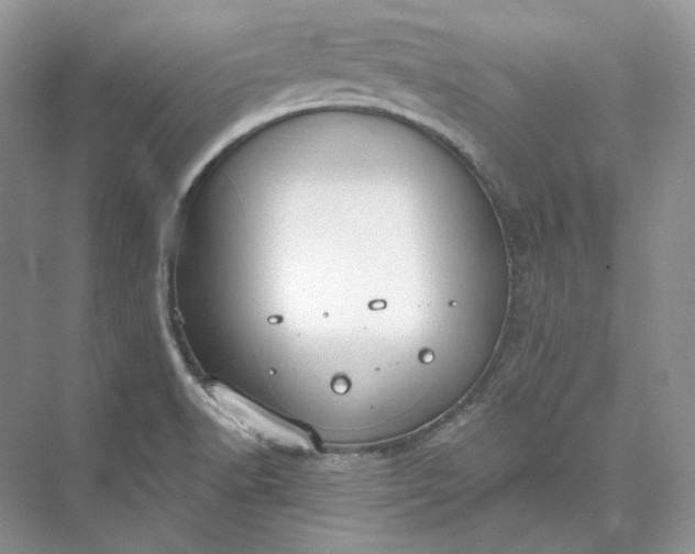 X0000073491518200608140829