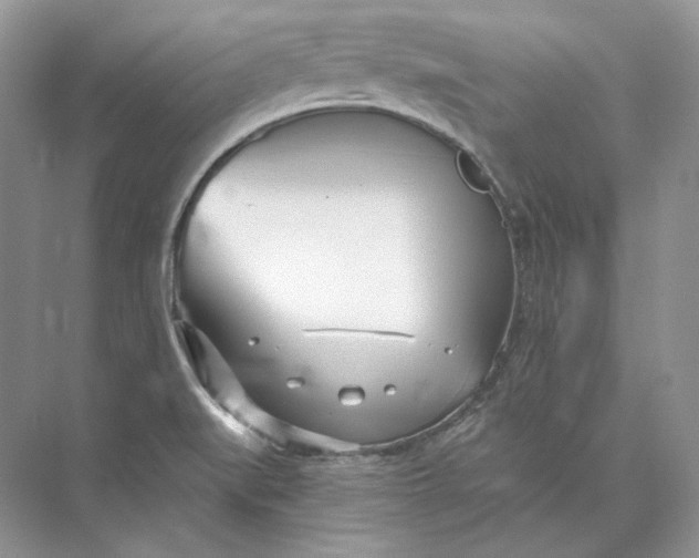 X0000073491519200608140829