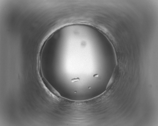 X0000073491520200608140829