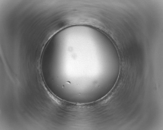 X0000073491521200608140829