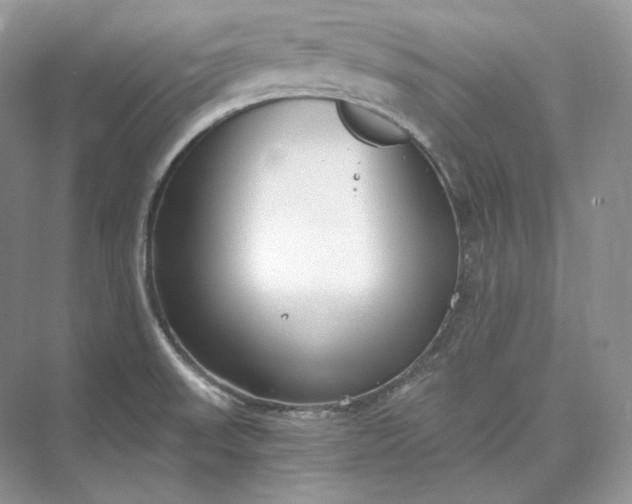 X0000073491523200608140829