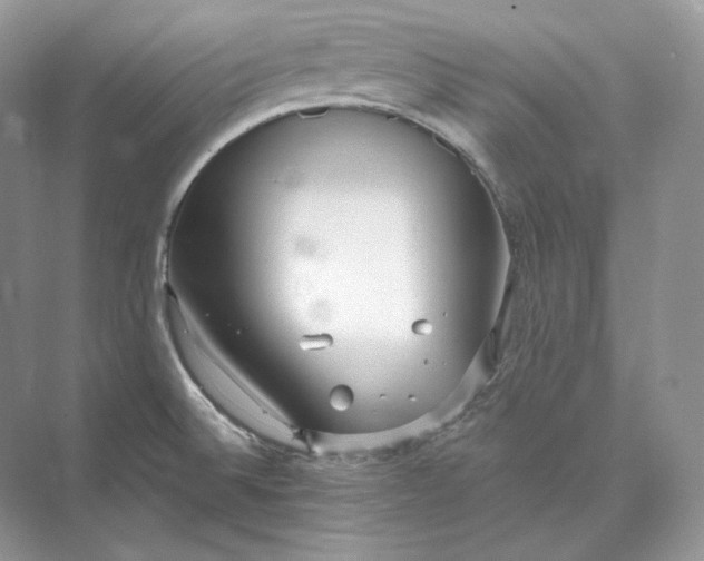 X0000073491524200608140829