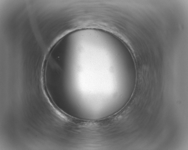 X0000073491525200608140829