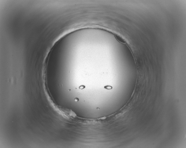 X0000073491526200608140829