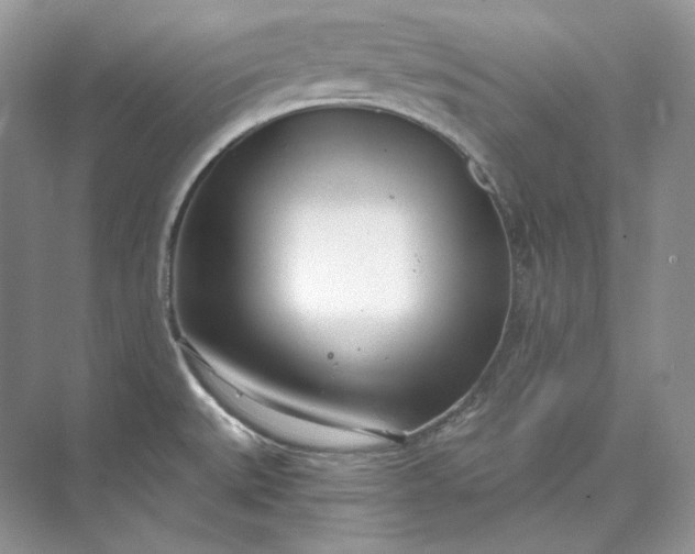 X0000073491527200608140829