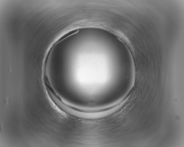 X0000073491528200608140829