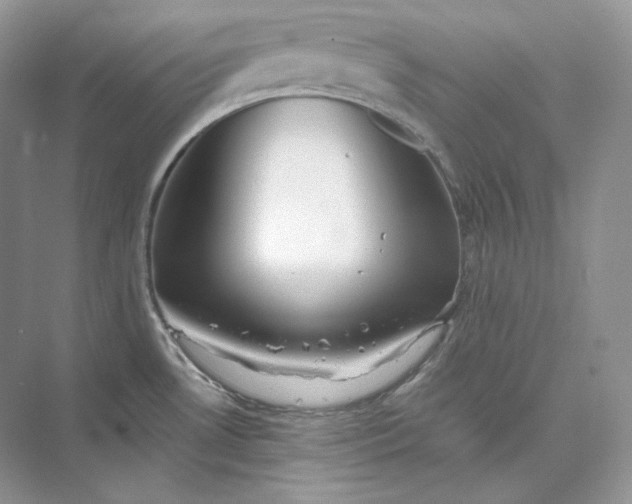 X0000073491530200608140829