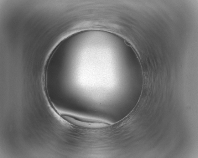 X0000073491531200608140829