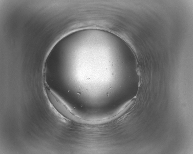 X0000073491532200608140829