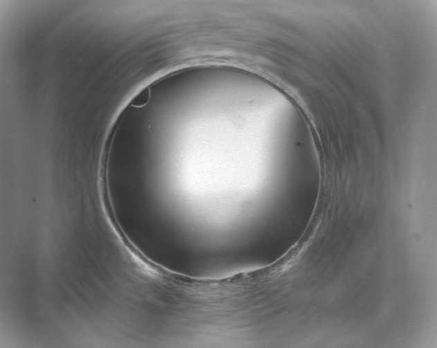 X0000073491533200608140829