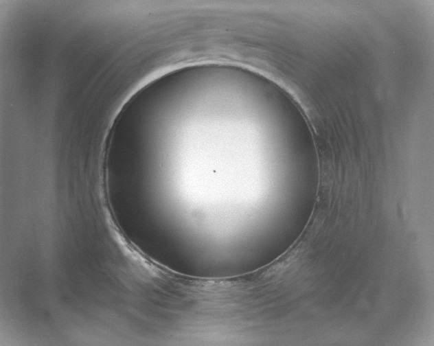 X0000073491534200608140829