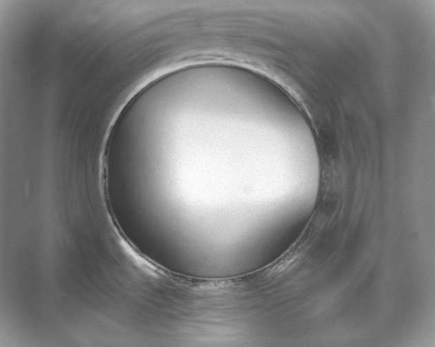 X0000073491535200608140829