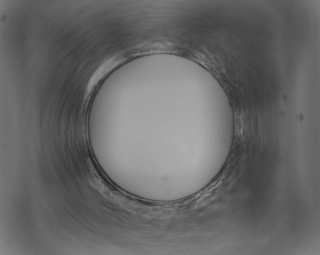 X0000073490004200608211701