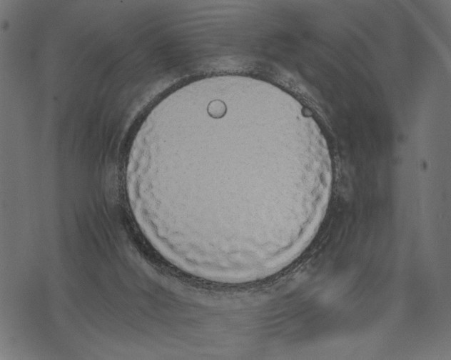 X0000073490012200608211701