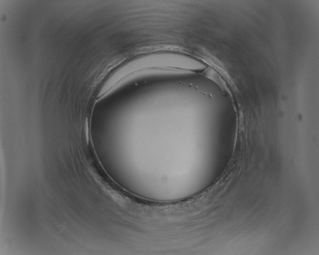 X0000073490013200608211701
