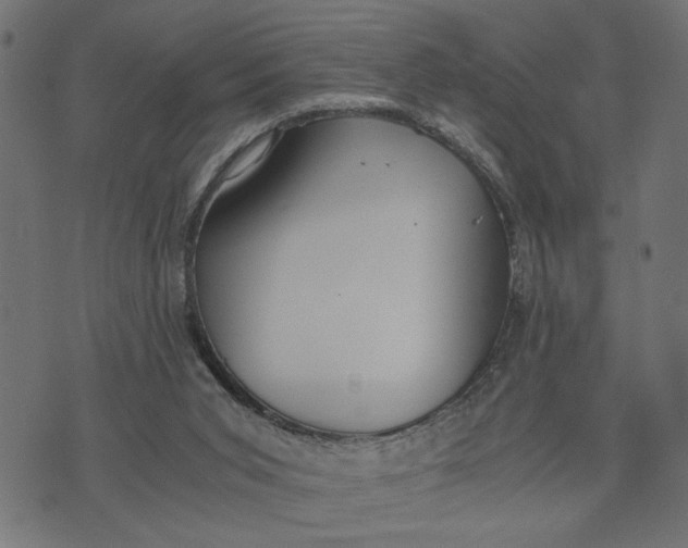 X0000073490015200608211701