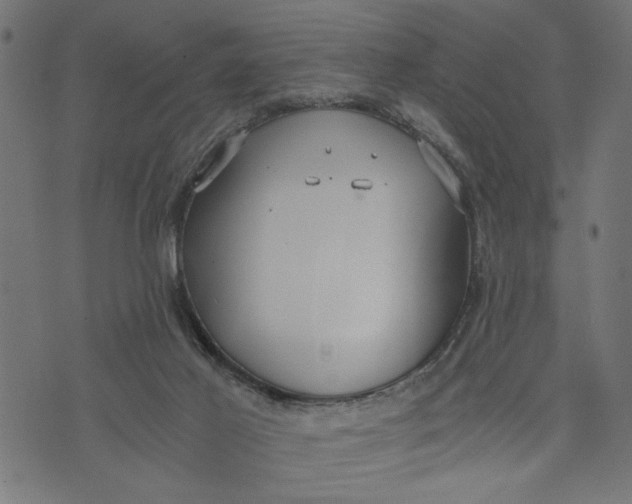 X0000073490021200608211701