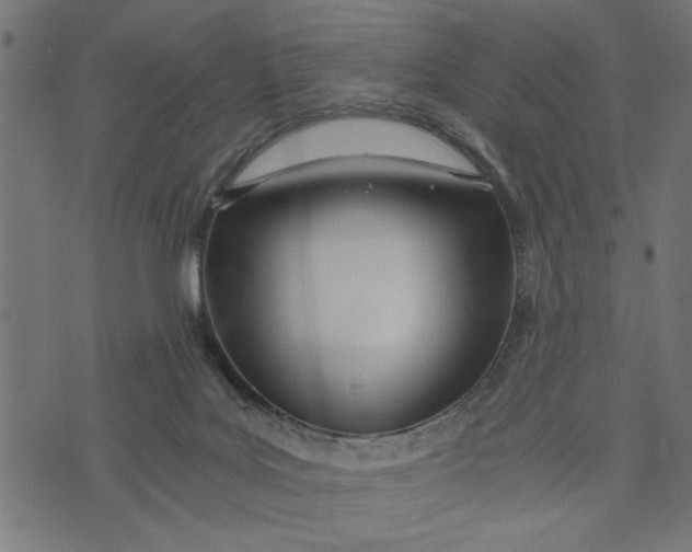 X0000073490027200608211701
