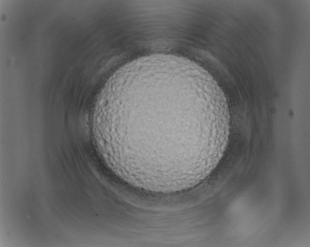 X0000073490028200608211701