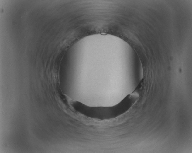 X0000073490039200608211701