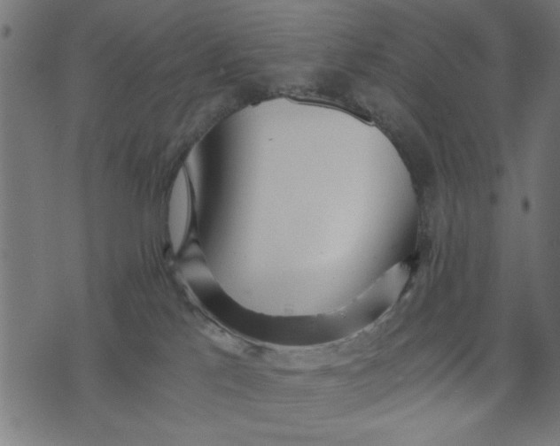 X0000073490041200608211701