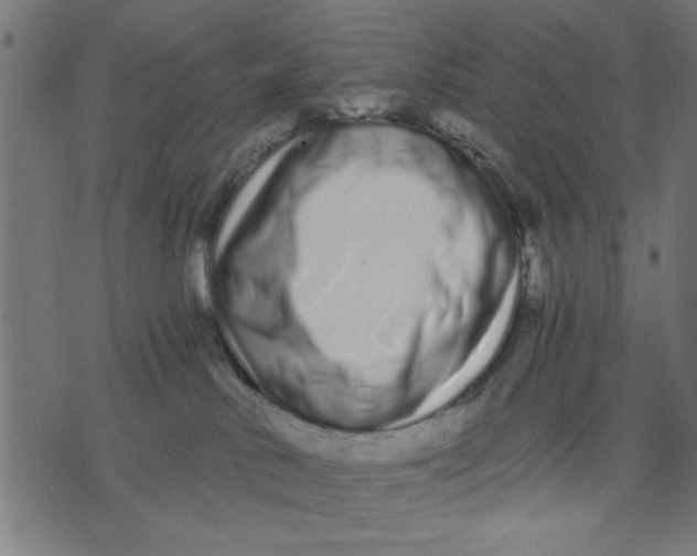 X0000073490042200608211701