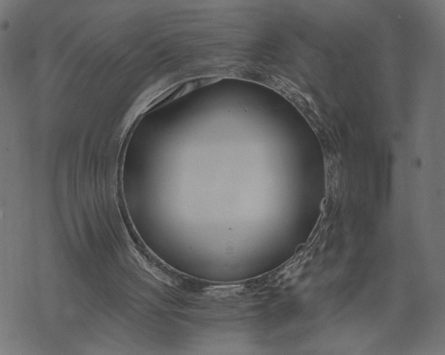 X0000073490051200608211700