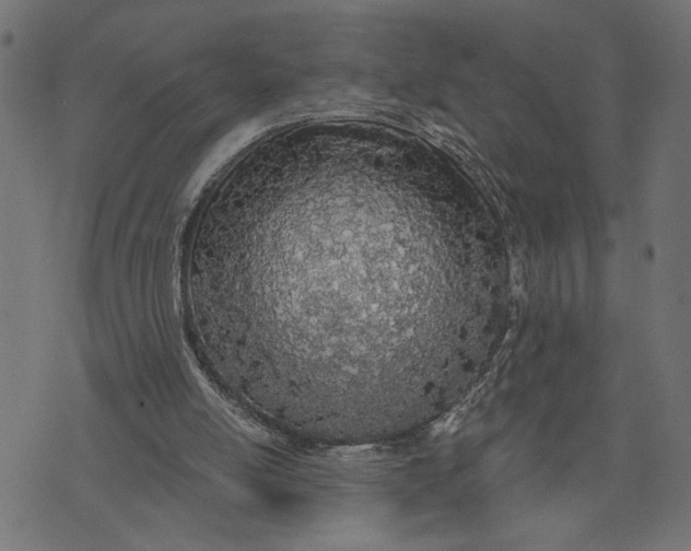 X0000073490054200608211700