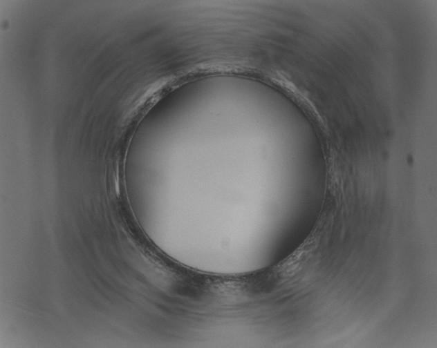 X0000073490062200608211700