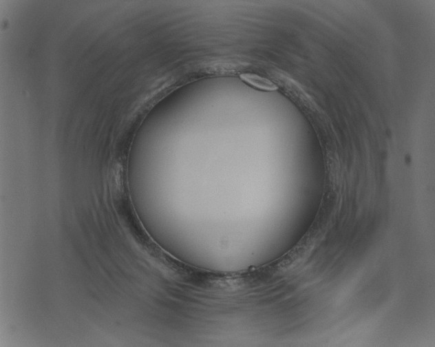 X0000073490071200608211700