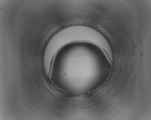 X0000073490072200608211700