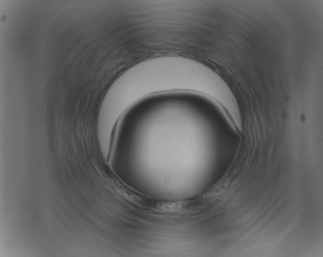 X0000073490084200608211700