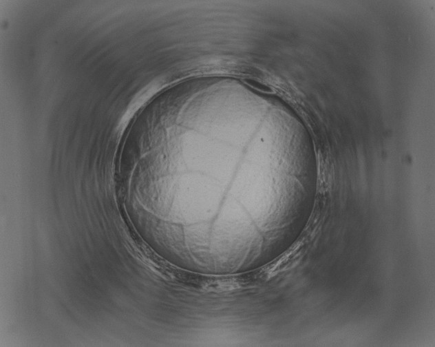 X0000073490099200608211700