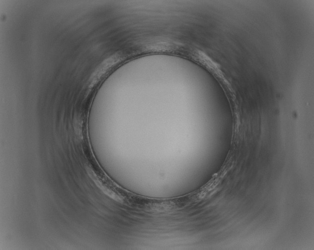 X0000073490106200608211700