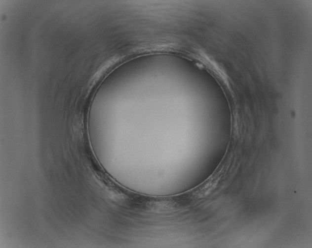 X0000073490107200608211700