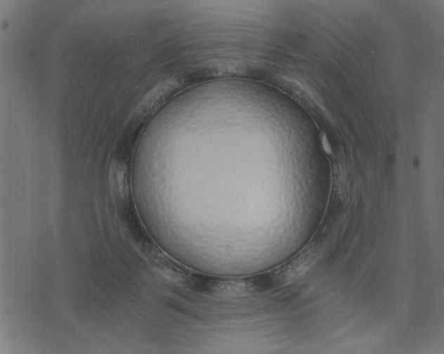 X0000073490123200608211659
