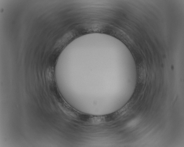 X0000073490126200608211659