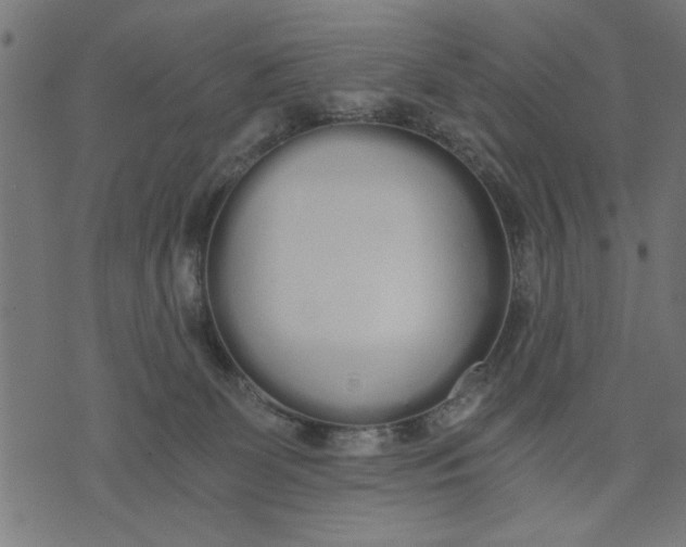 X0000073490131200608211659