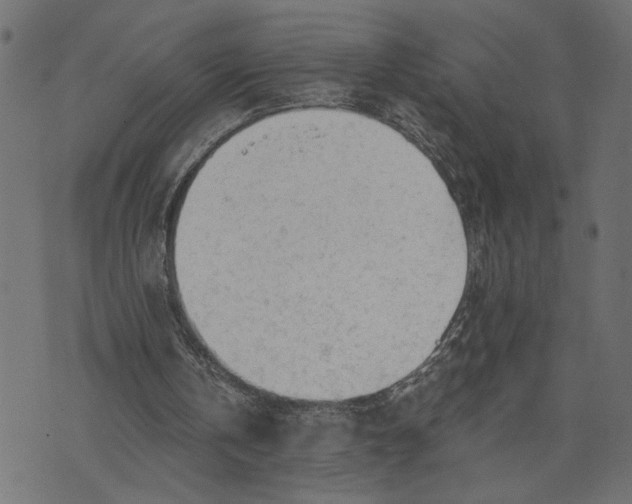 X0000073490146200608211658
