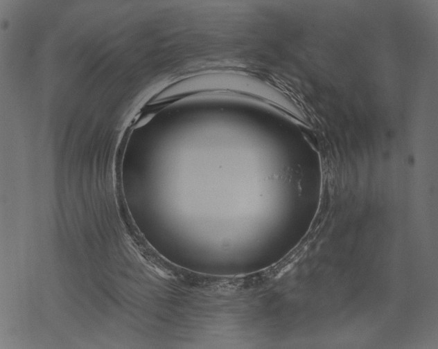 X0000073490148200608211658