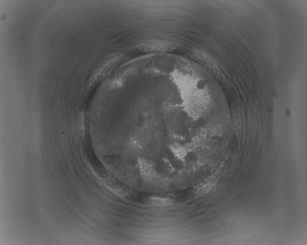 X0000073490167200608211659