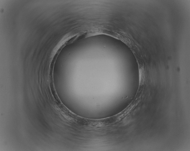 X0000073490195200608211658