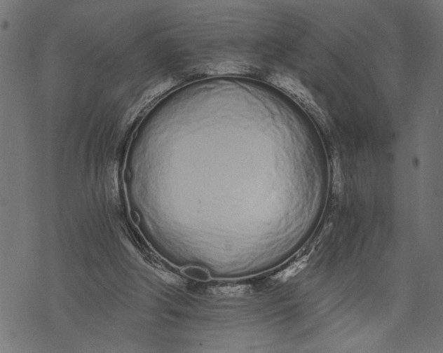 X0000073490202200608211658