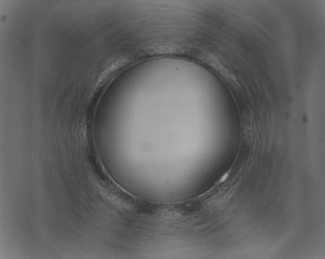 X0000073490207200608211658