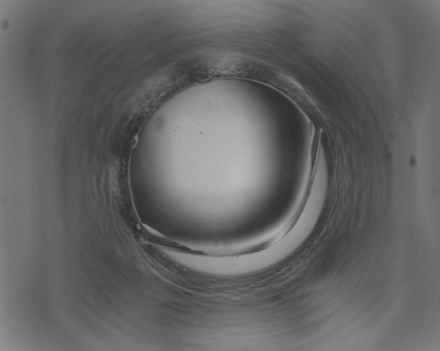 X0000073490217200608211658