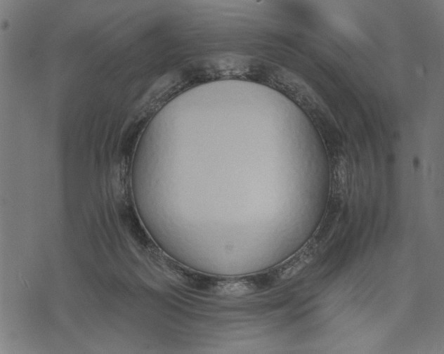 X0000073490218200608211658