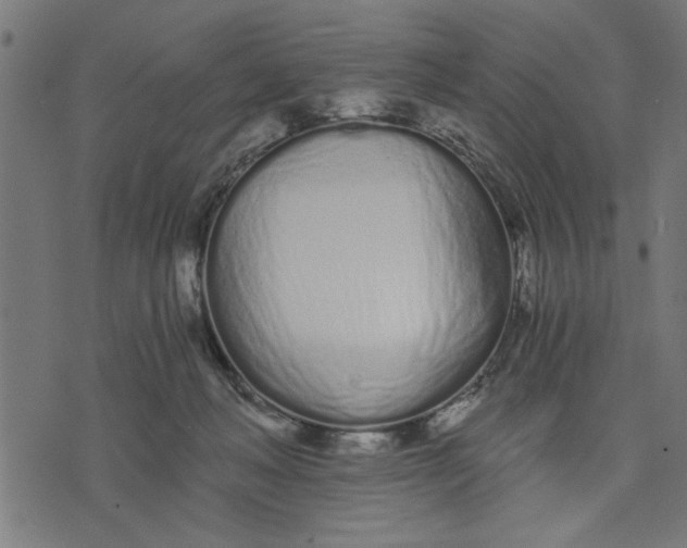 X0000073490222200608211658