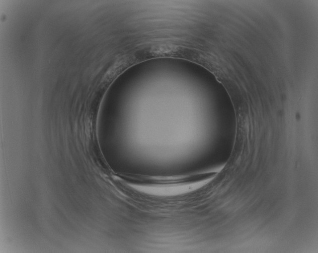 X0000073490227200608211658